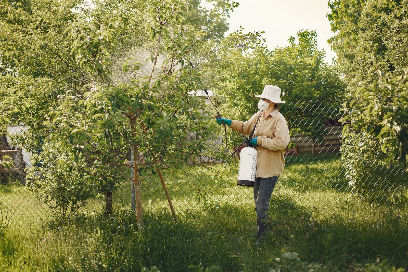 Operator in protective equipment treating trees and planting with a backpack sprayer in a garden